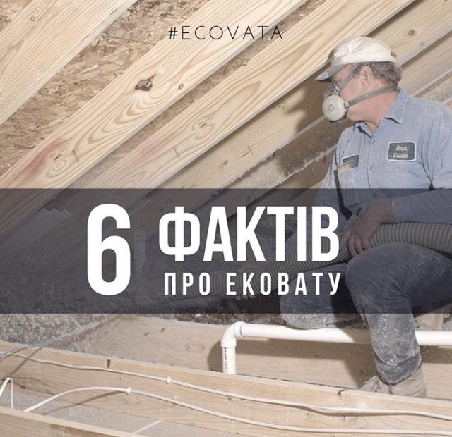 6 фактів про ековату